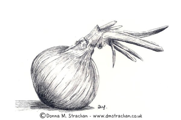 Лук рисунок