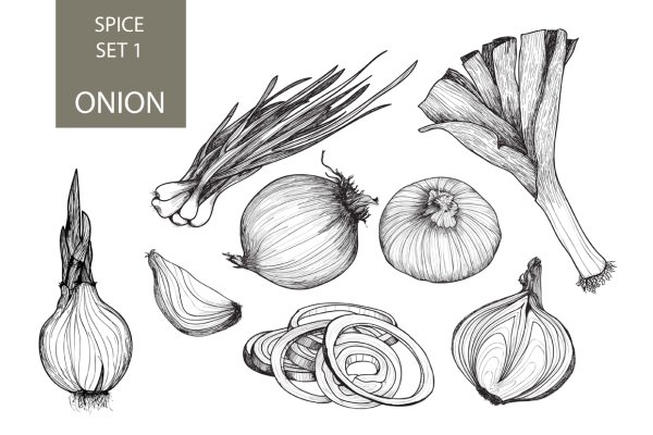 Лук раскраска для детей