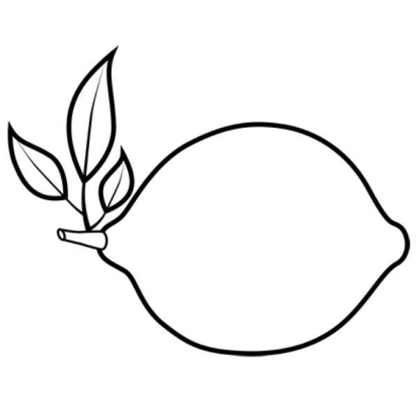 Лимон рисунок
