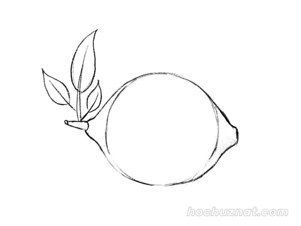 Лимон карандашом