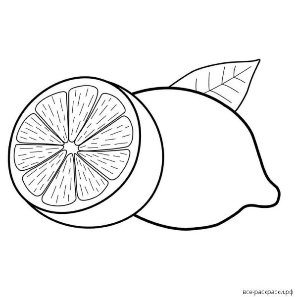 Лимон для срисовки