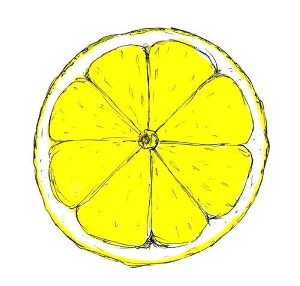 Рисунки для срисовки Лемон