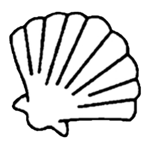 Трафарет Ракушка для вырезания
