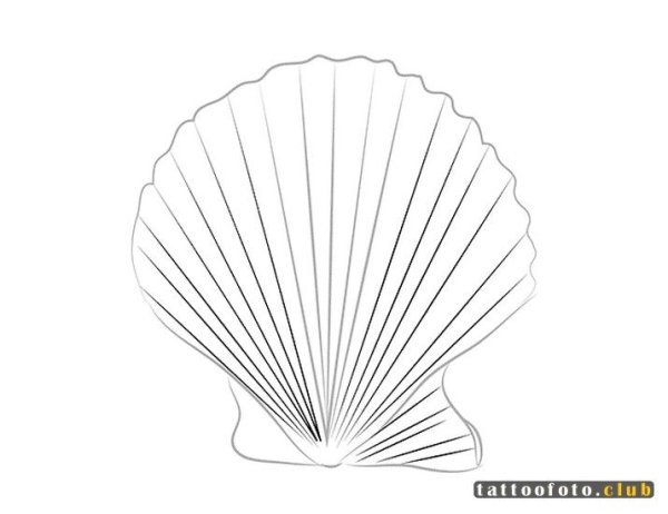 Ракушка трафарет