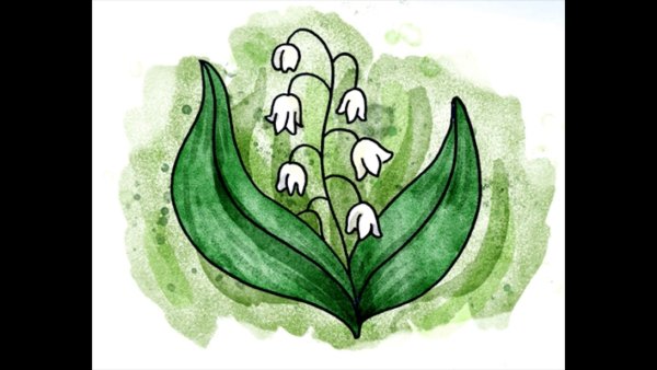 Ландыш рисунок карандашом