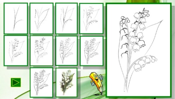 Ландыши пошаговое рисование