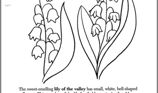 Нарисовать Ландыш Майский