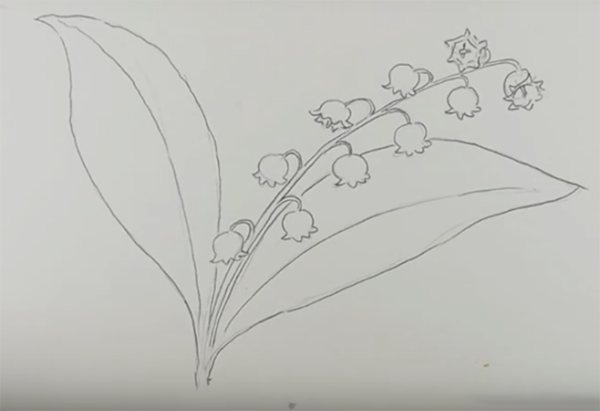 Ландыш раскраска для аппликации