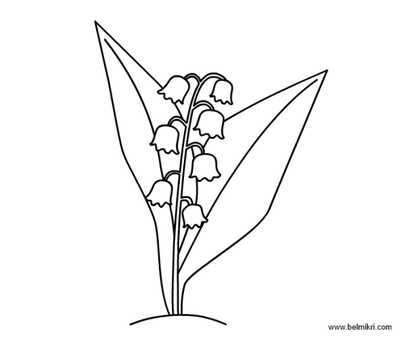 Ландыш трафарет