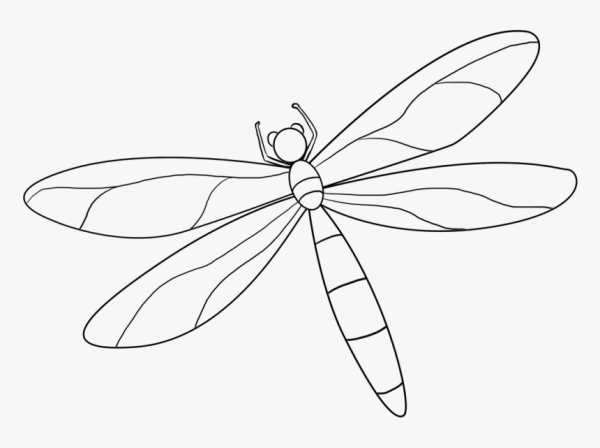 Стрекоза карандашом