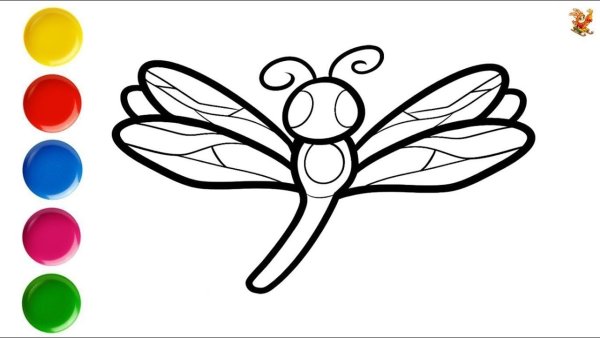 Стрекоза раскраска