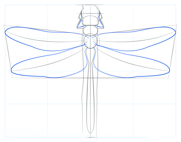 Стрекоза чертеж