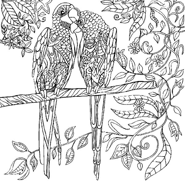 Раскраски сложные