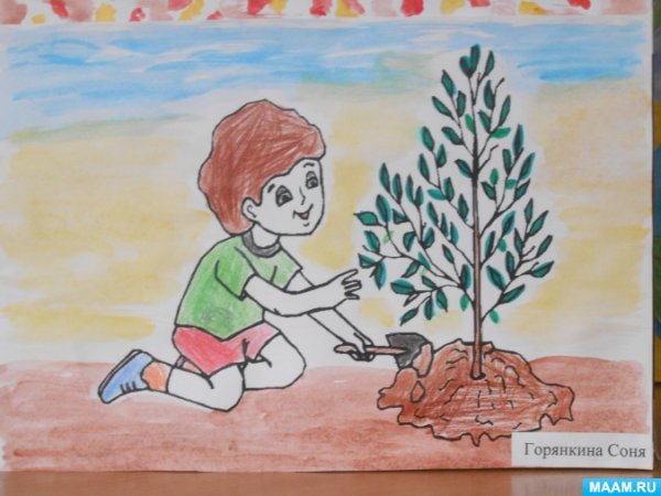 Рисунки леса для срисовки