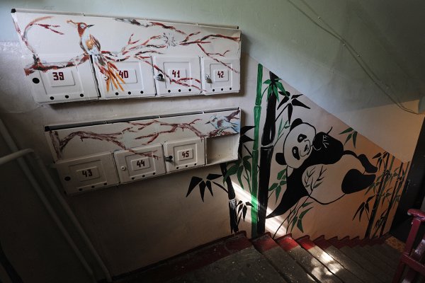 Роспись стен в подъезде