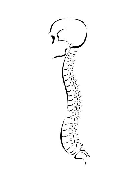 Тату на позвоночнике
