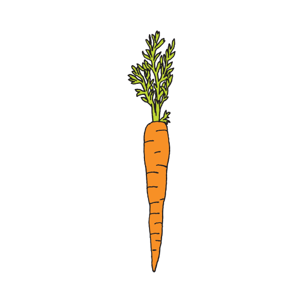 Морковка вектор сбоку черно белая