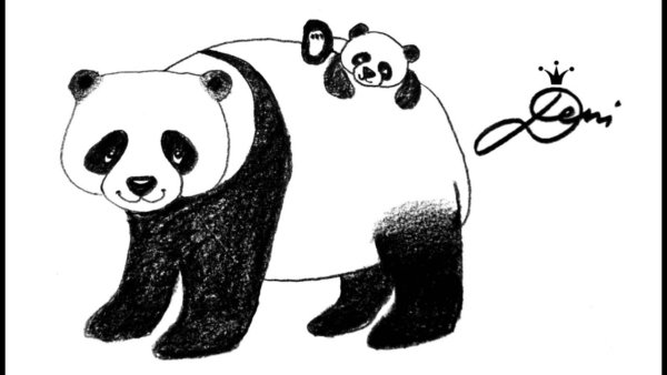 Лёгкие рисунки панды