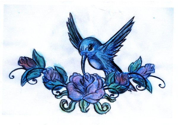 Птица голубой розовый цвет эскиз тату