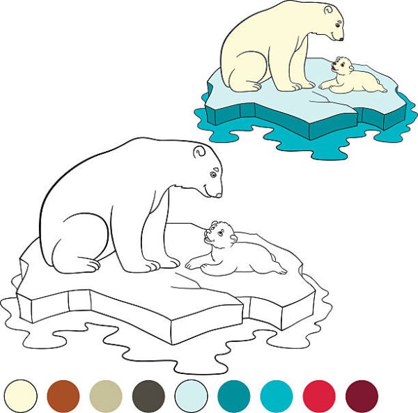 Белый медведь на льдине раскраска для детей