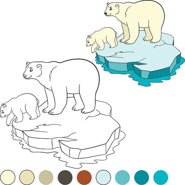 Рисунок медведя для срисовки