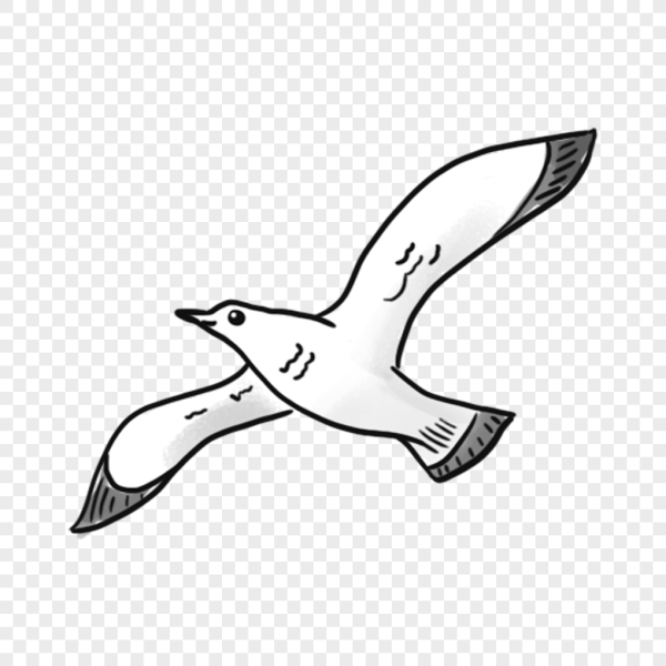 Чайка рисунок легкий