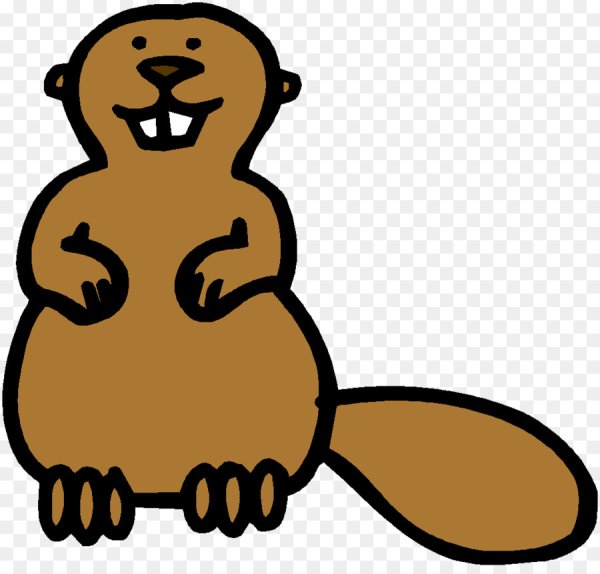 Бобер рисунок