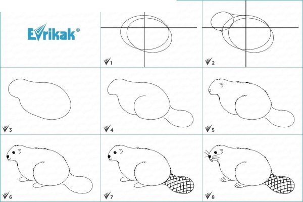 Как нарисовать бобра поэтапно карандашом для детей