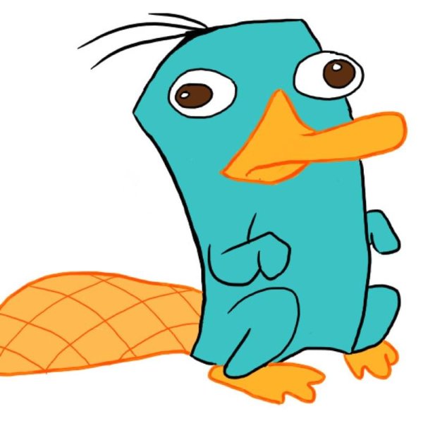 Утконос рисунок