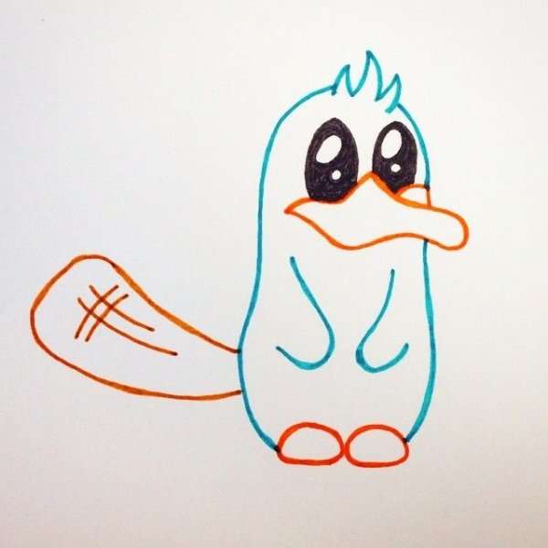 Утконос рисунок