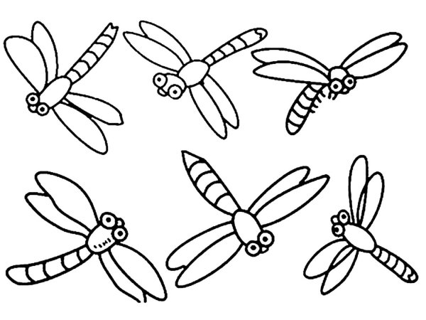 Рисование симметричных форм насекомые Стрекоза