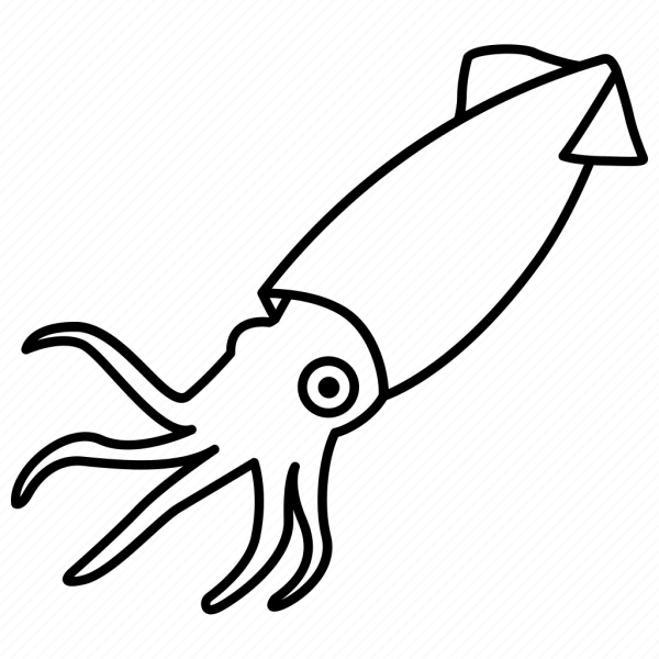 Кальмар рисунок для детей