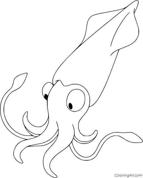 Кальмар эскиз