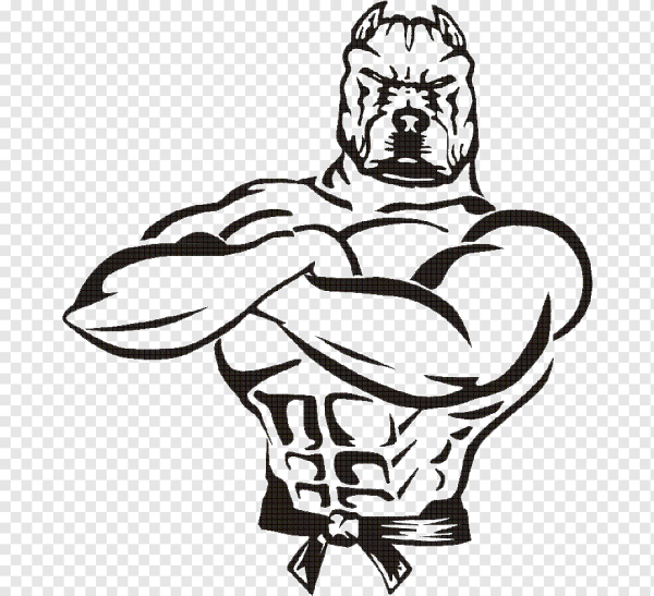 Качок эскиз