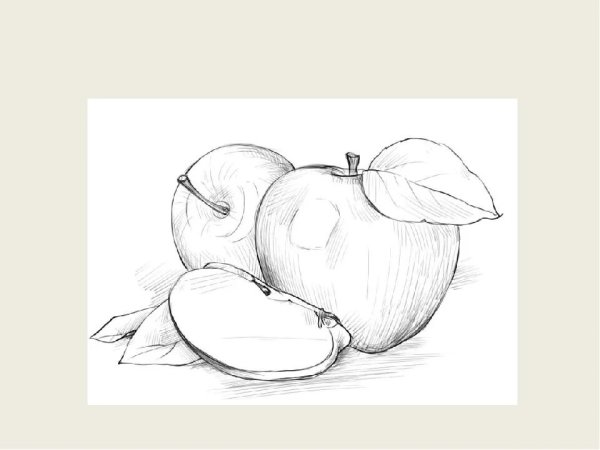 Натюрморт карандашом