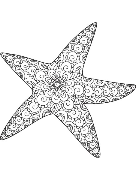 Морская звезда линиями