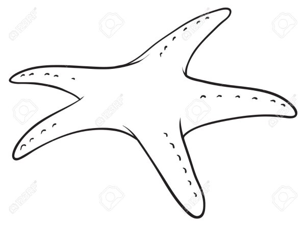 Контур морской звезды большая