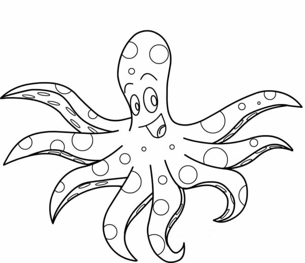 Осьминог картинка раскраска