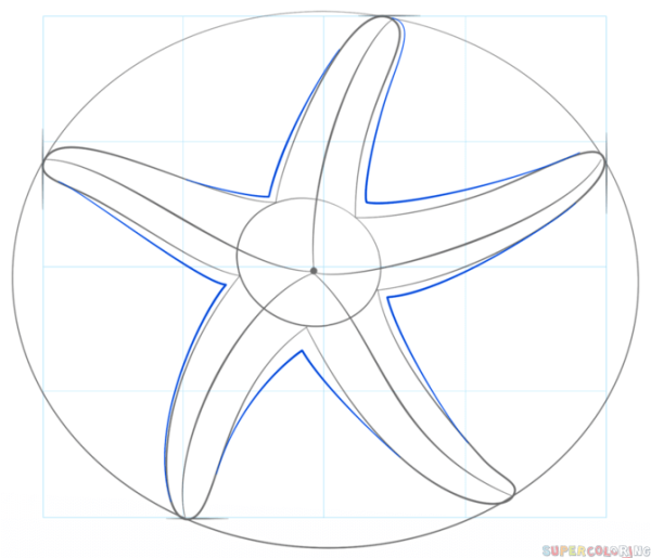 Поэтапный рисунок морской звезды