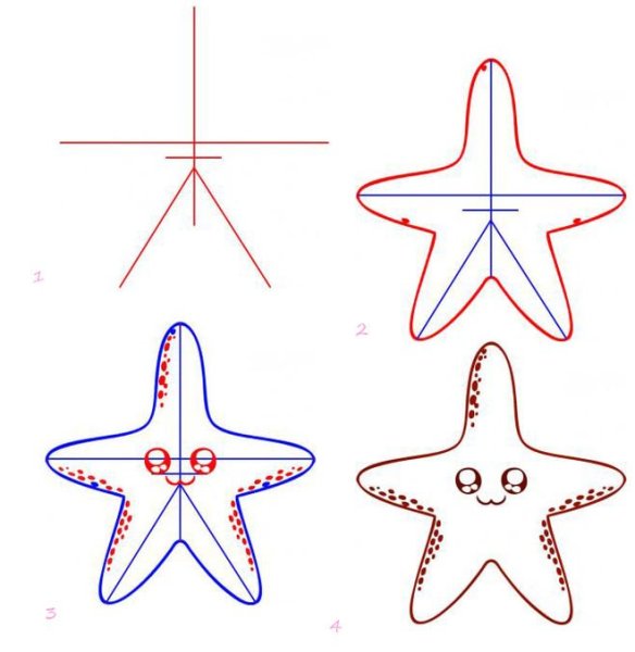 Как рисовать морскую звезду