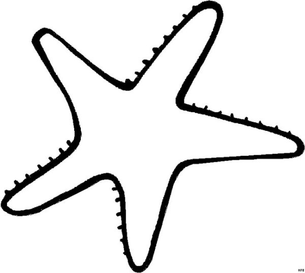 Морская звезда схематично