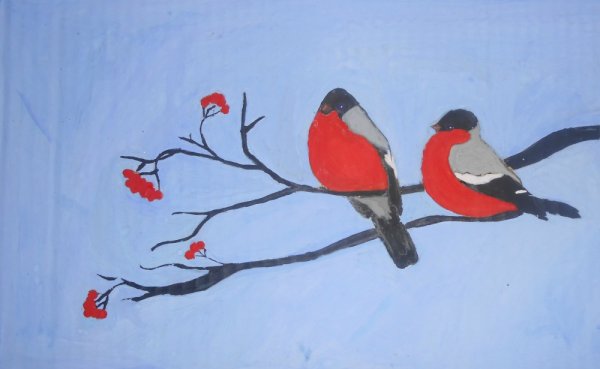 Раскраска Снегирь на ветке рябины