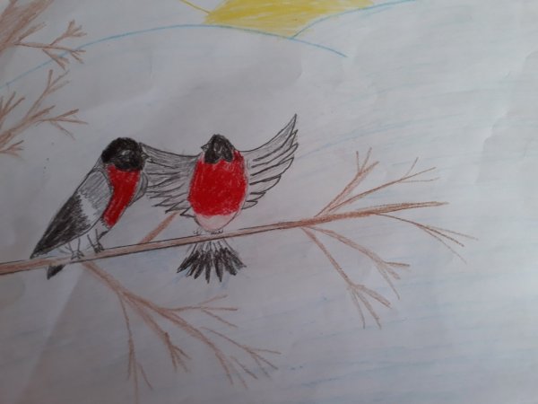 Рисование с детьми Снегирь