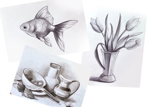 Графика рисунок для начинающих