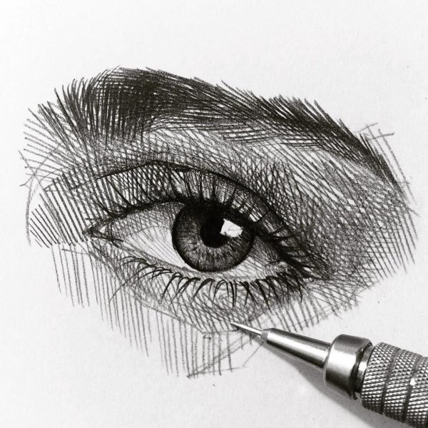 Эскизы цветов для тату