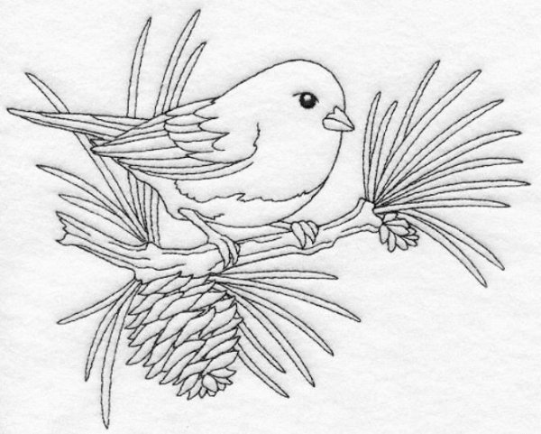 Птицы для срисовки