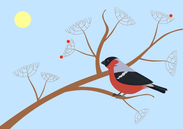 Птичка на ветке рисунок для детей