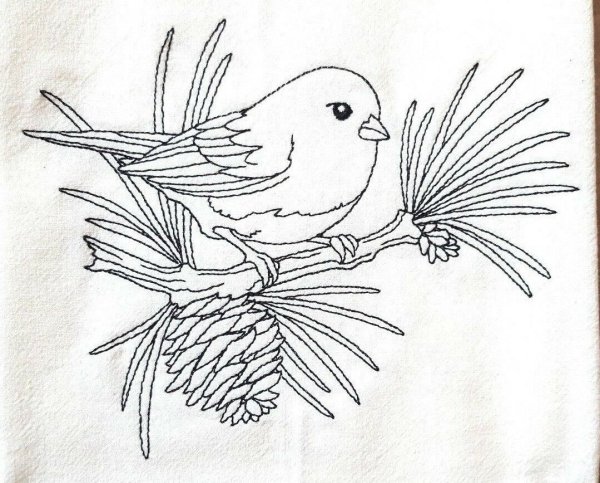 Птицы для срисовки