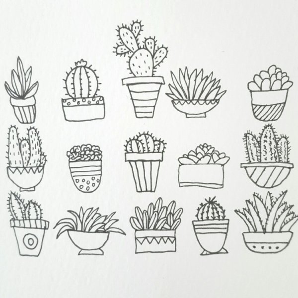 Цветок в горшке для срисовки