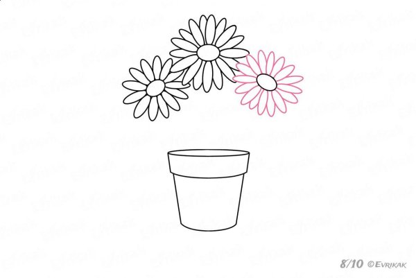 Комнатное растение рисунок